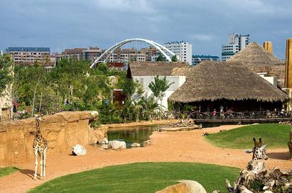 <p>Bioparc Valencia</p>